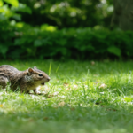 Présence d&rsquo;odeur d&rsquo;essence dans la maison : causes possibles et solutions efficaces