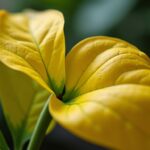 Permishabitation.fr : votre guide complet pour réussir toutes vos démarches