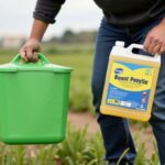 Installation de volets roulants : nos conseils pour bien choisir et réussir votre pose