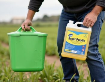 Guide 2025 : Où se procurer 5 litres de glyphosate en Espagne ?